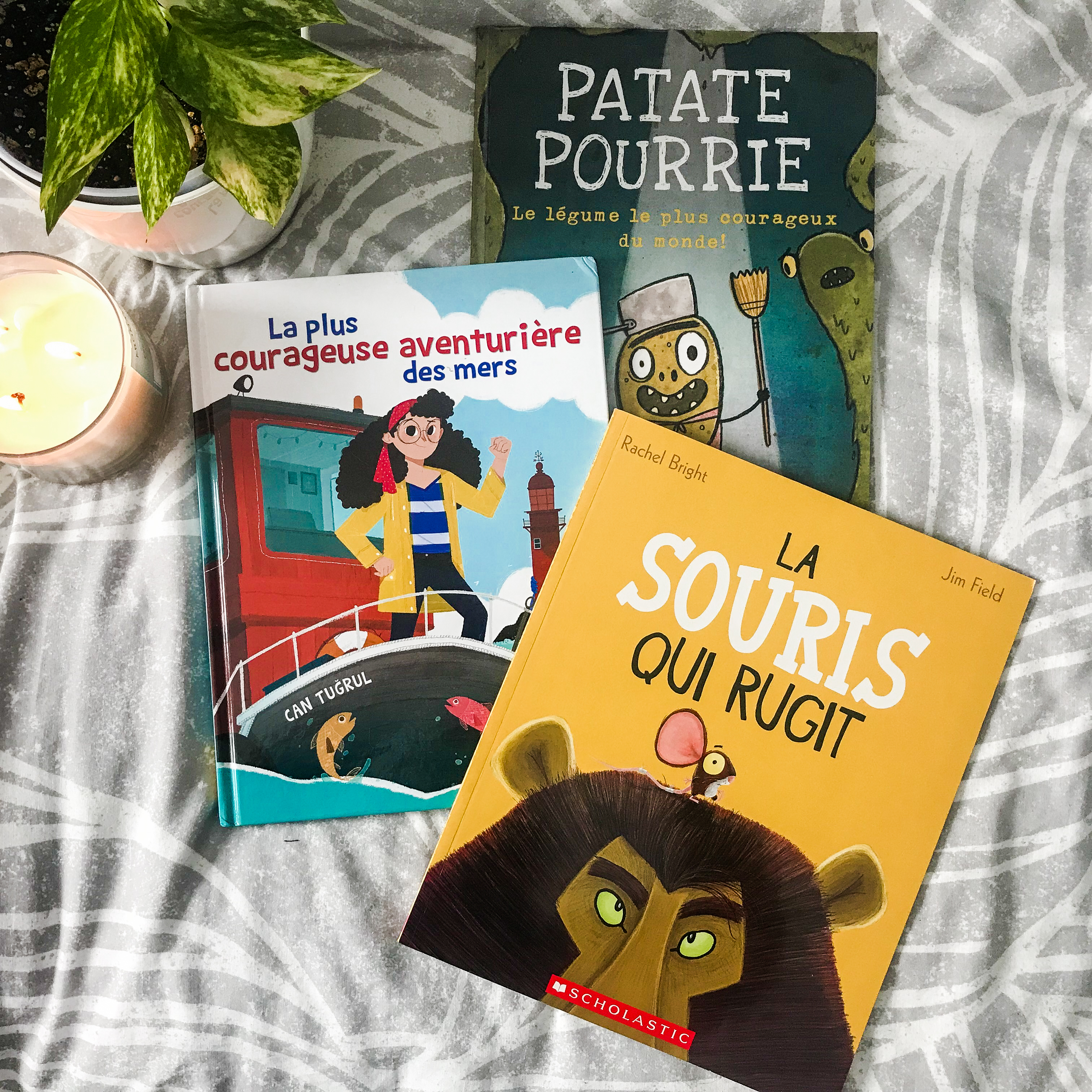 Trois livres fabuleux pour parler du courage